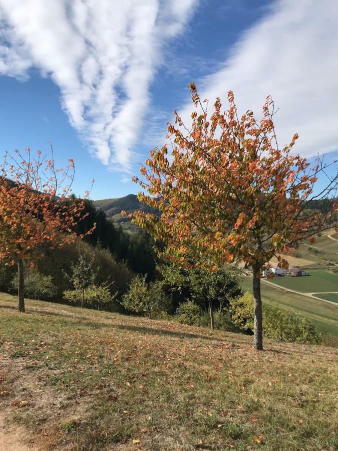 Ferienwohnung Hesselbach Oberkirch  Esterno foto