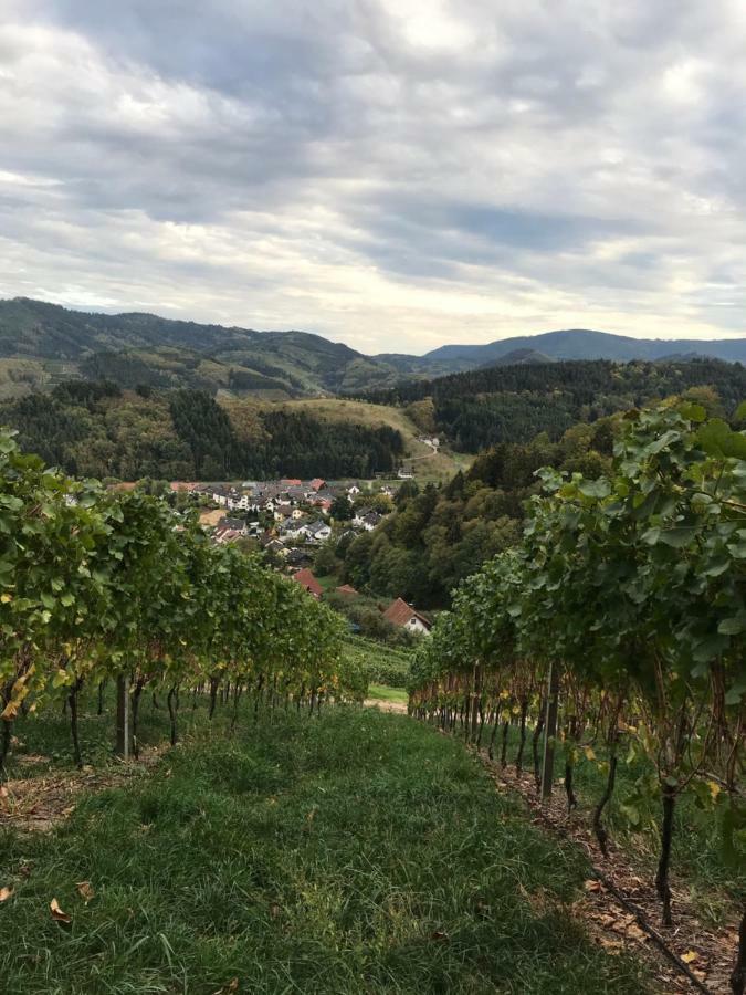 Ferienwohnung Hesselbach Oberkirch  Esterno foto