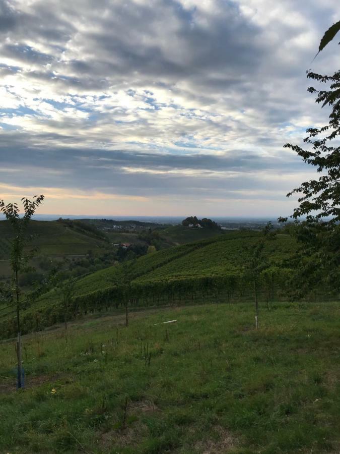 Ferienwohnung Hesselbach Oberkirch  Esterno foto