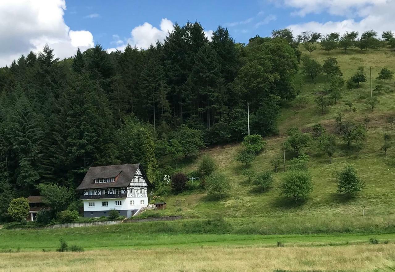 Ferienwohnung Hesselbach Oberkirch  Esterno foto