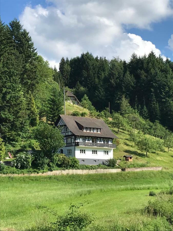 Ferienwohnung Hesselbach Oberkirch  Esterno foto