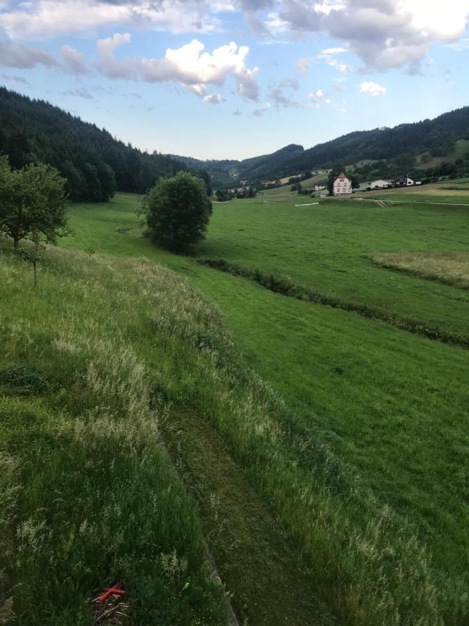 Ferienwohnung Hesselbach Oberkirch  Esterno foto